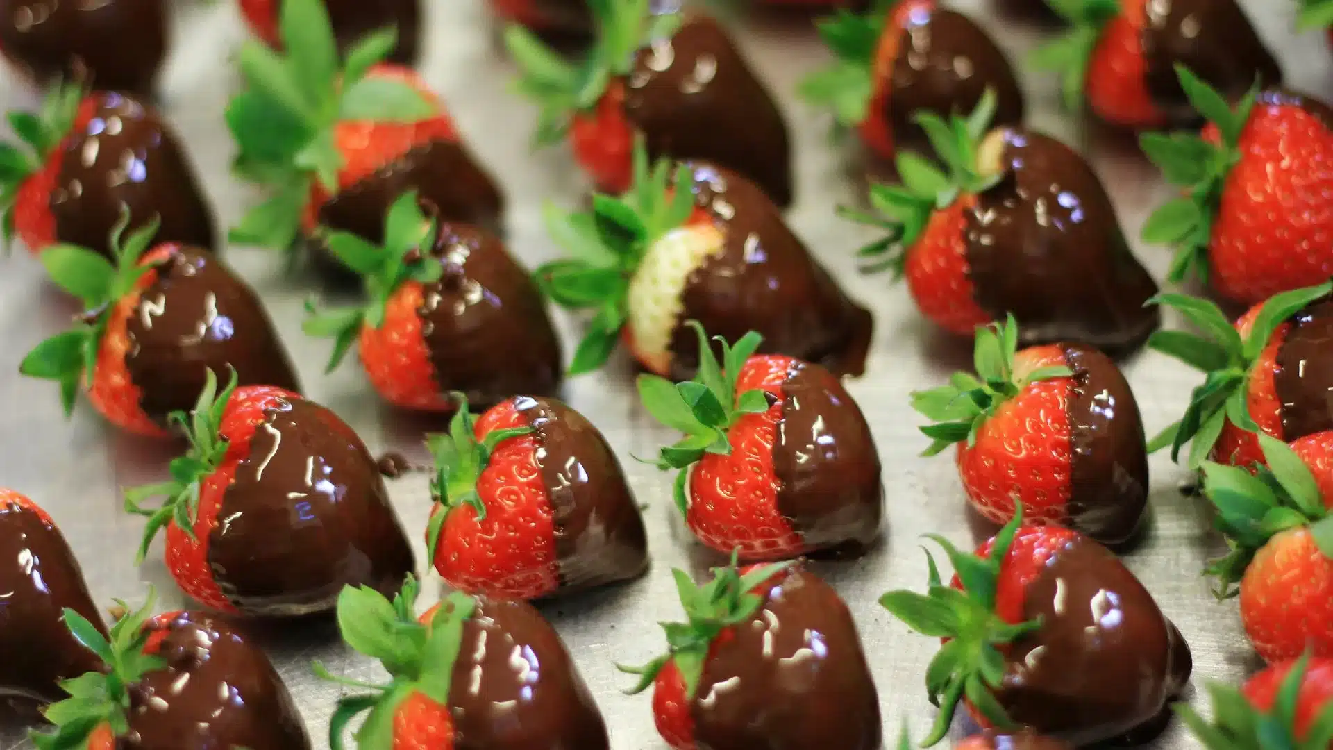 Chocolate Making event