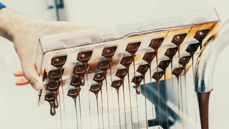 Chocolate Making event