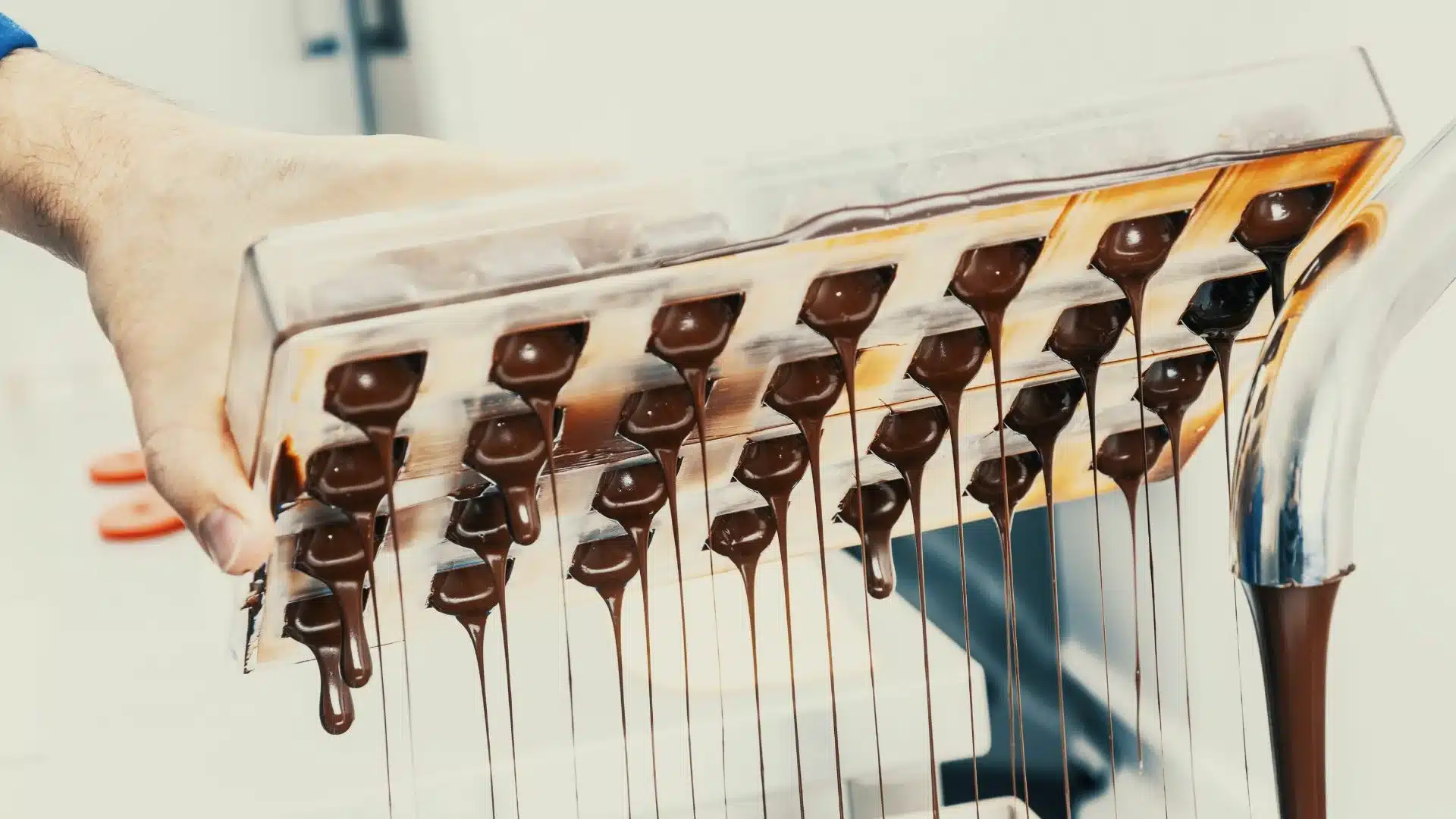 Chocolate Making event