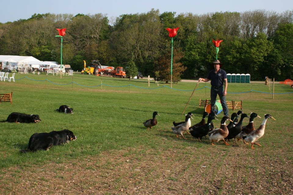 Country Pursuits