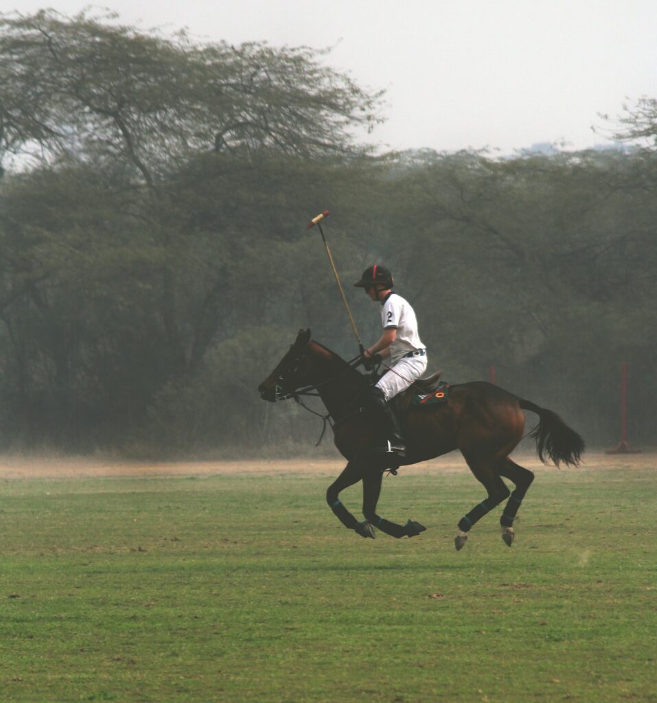 Corporate team-building activity with horse polo in a Country Pursuit experience