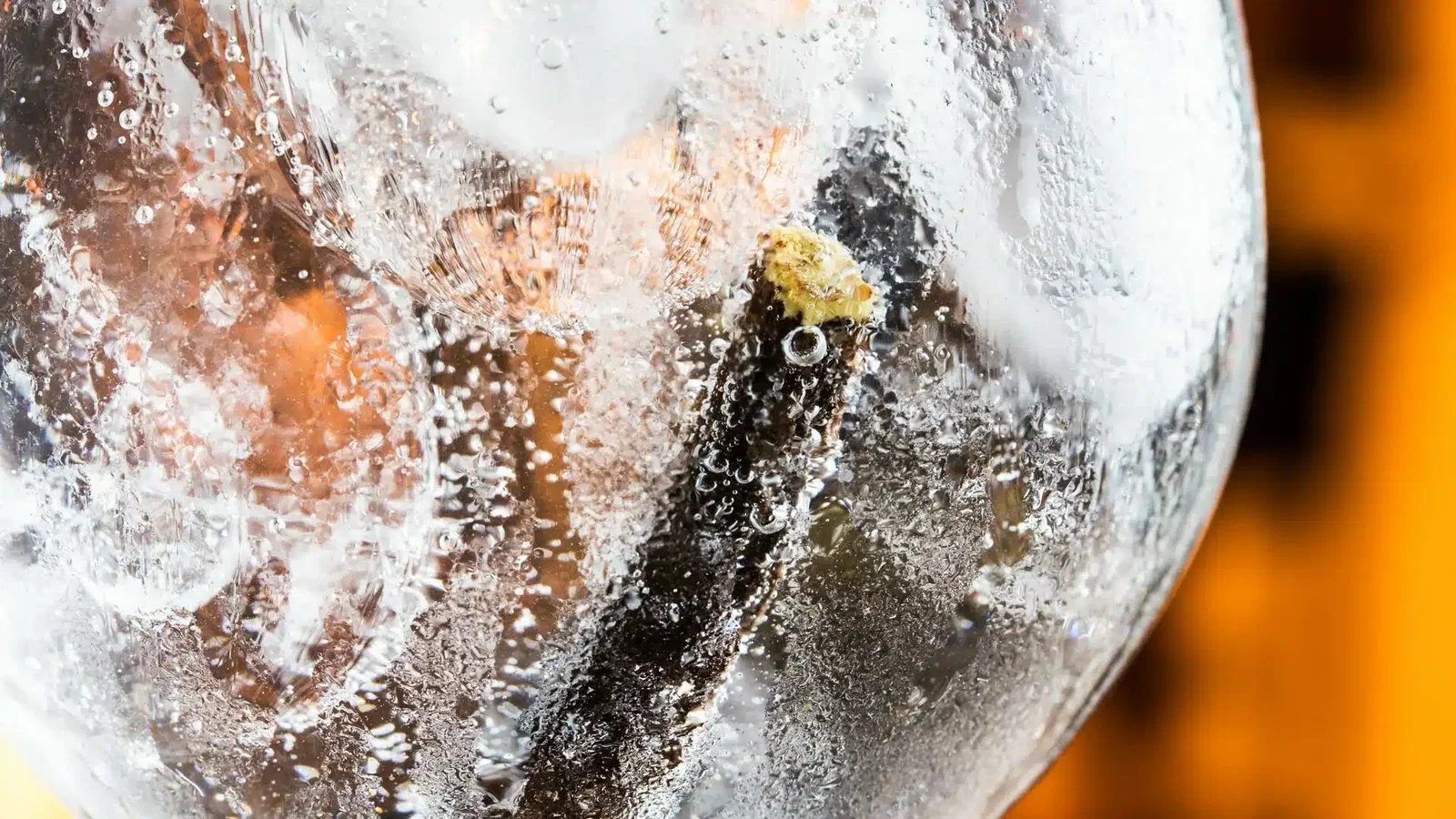 Gin Making Event