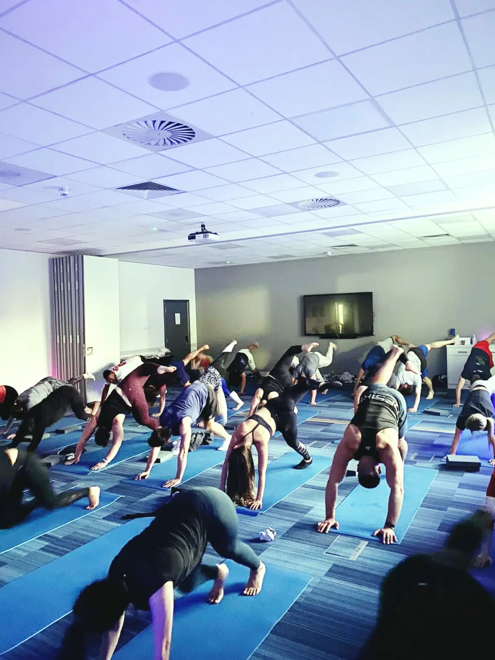 Team participating in a yoga session to promote workplace wellness and relaxation