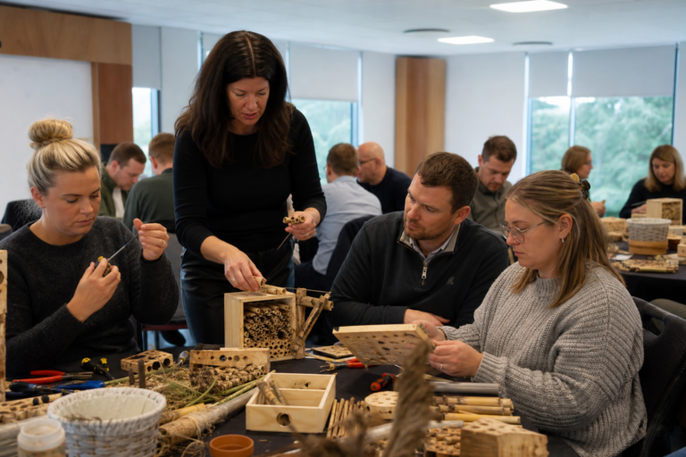 Corporate team building solitary bee hotels during a sustainability workshop