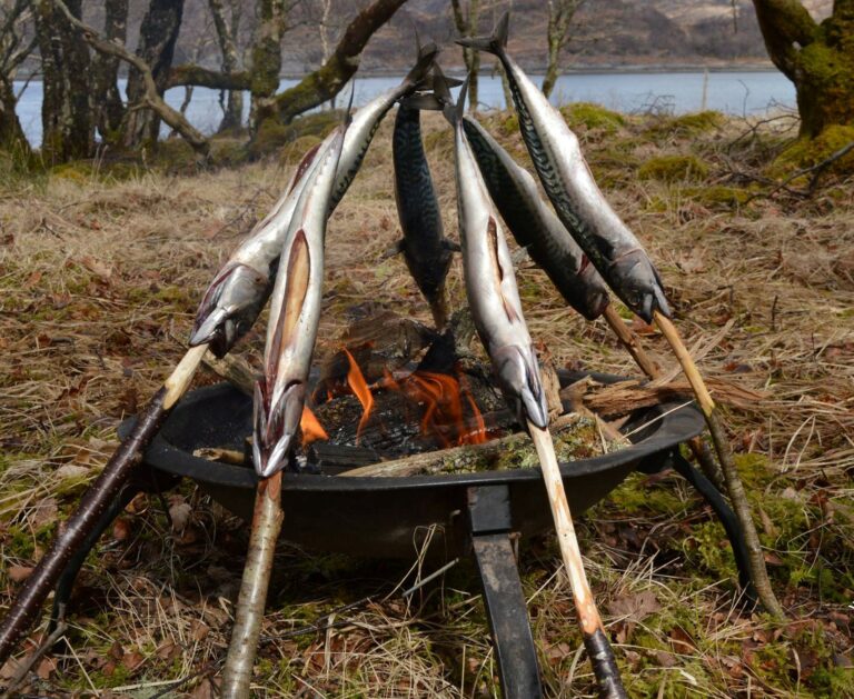 bushcraft survival event